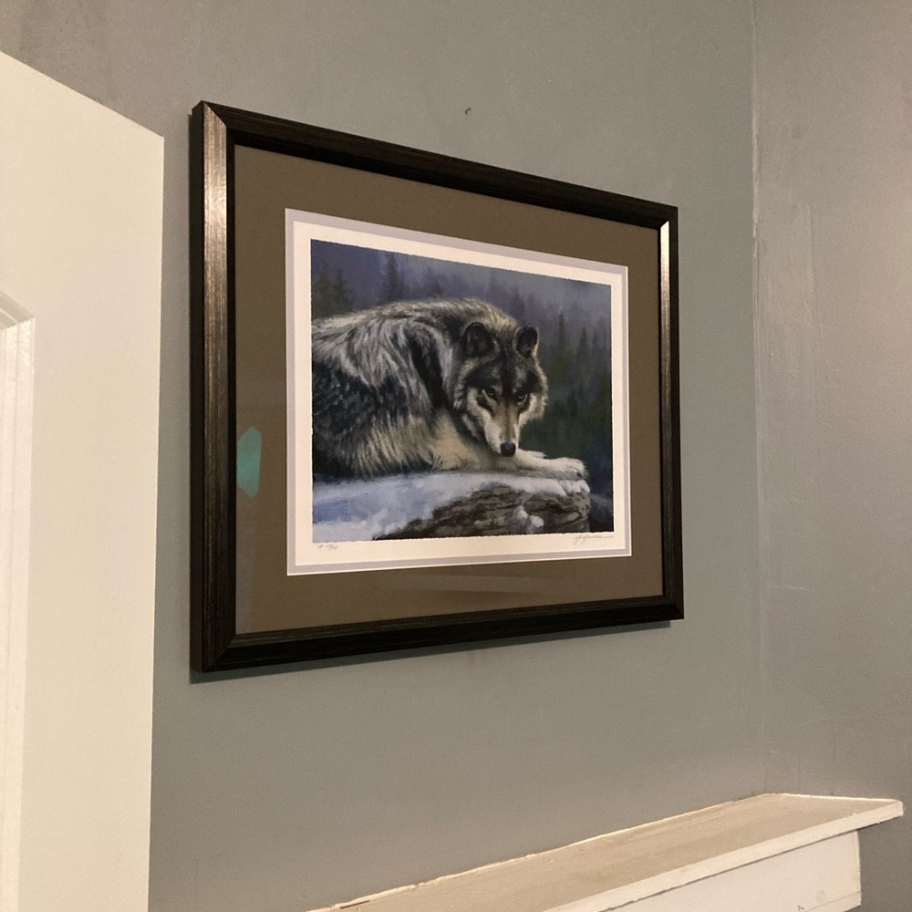 Eyes of the Wilderness by Pat McManus